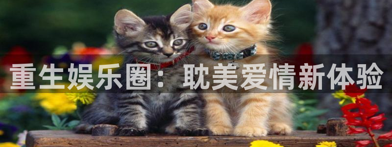 星辉平台网页版：重生娱乐圈：耽美爱情新体验