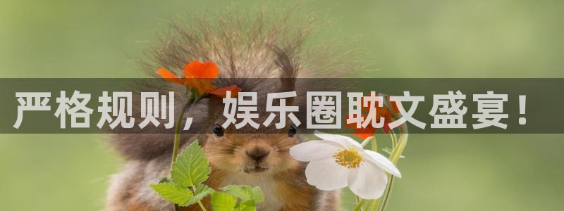 星辉平台体育热门赛事有哪些：严格规则，娱乐圈耽文盛宴！