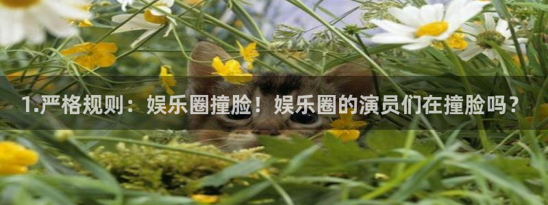 星辉平台体育3：1.严格规则：娱乐圈撞脸！娱乐圈的演员们在撞脸吗？