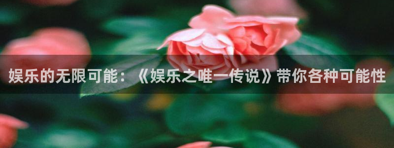 星辉平台体育游戏：娱乐的无限可能：《娱乐之唯一传说》带你各种可能性