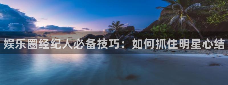 星辉平台加拿大下载：娱乐圈经纪人必备技巧：如何抓住明星心结