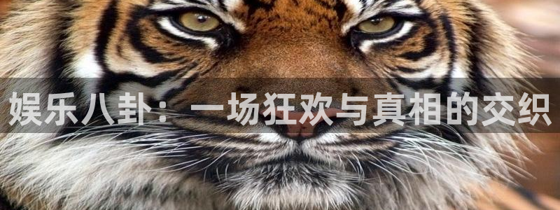 星辉平台注册链接：娱乐八卦：一场狂欢与真相的交织