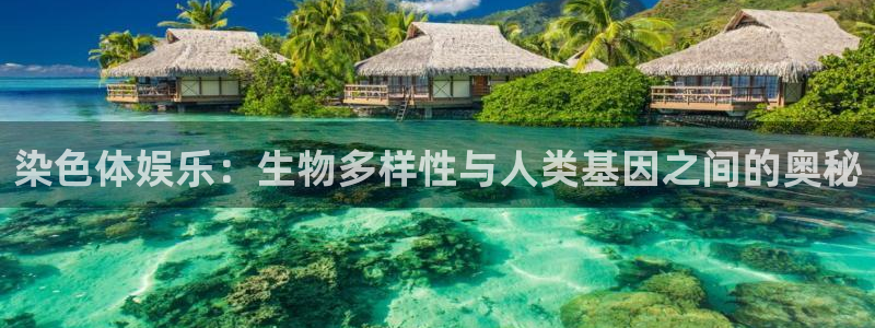 星辉平台注册：染色体娱乐：生物多样性与人类基因之间的奥秘