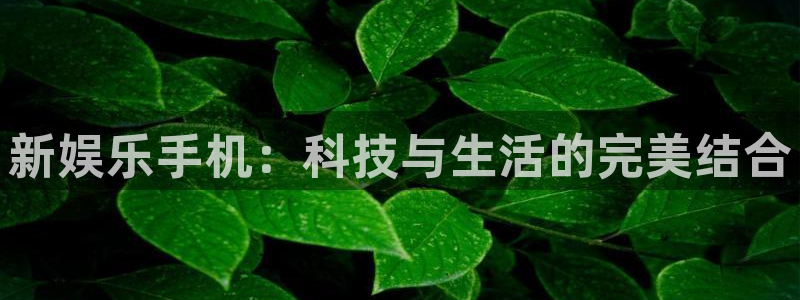 星辉平台注册网站app：新娱乐手机：科技与生活的完美结合
