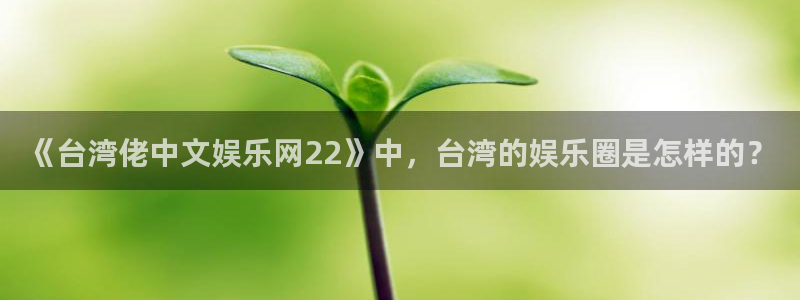 星辉平台苹果手机下载链接：《台湾佬中文娱乐网22》中，台湾的娱乐圈是怎样的？