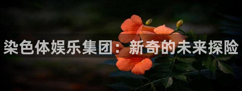 下载星辉平台：染色体娱乐集团：新奇的未来探险