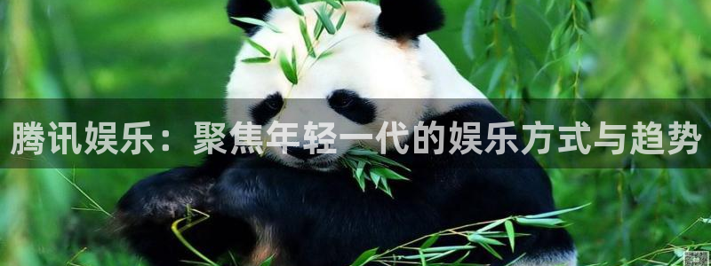 星辉平台体育：腾讯娱乐：聚焦年轻一代的娱乐方式与趋势