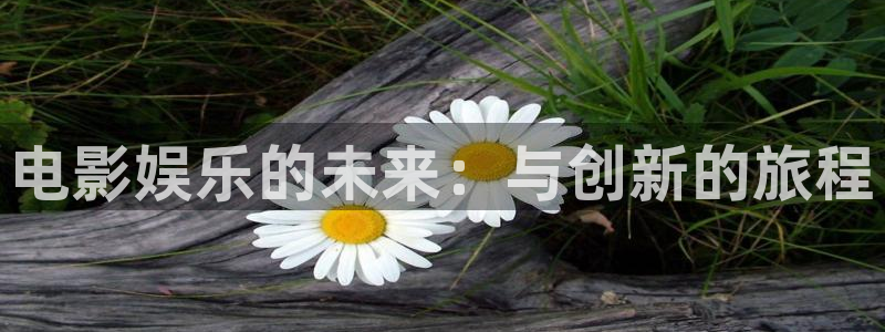 星辉平台5：电影娱乐的未来：与创新的旅程