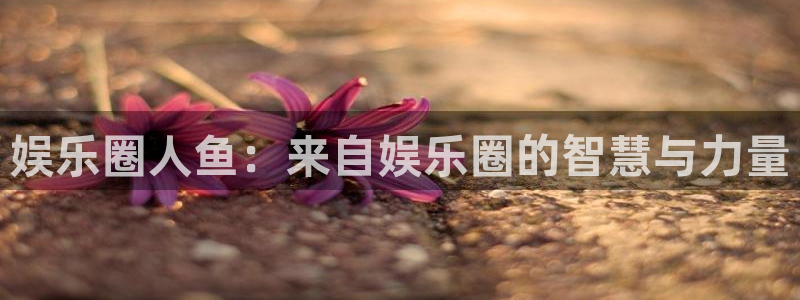 星辉平台2体育：娱乐圈人鱼：来自娱乐圈的智慧与力量