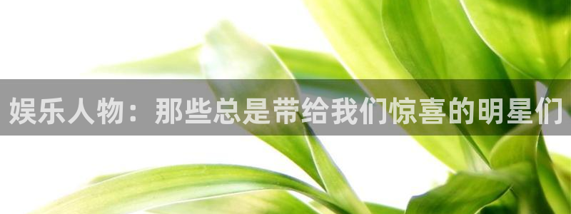 星辉平台游戏有哪些好玩的：娱乐人物：那些总是带给我们惊喜的明星们