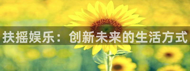 星辉平台是大平台吗：扶摇娱乐：创新未来的生活方式