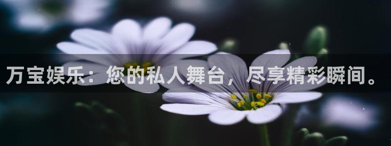 星辉平台下载地址：万宝娱乐：您的私人舞台，尽享精彩瞬间。