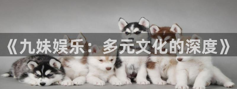 星辉平台4平台：《九妹娱乐：多元文化的深度》