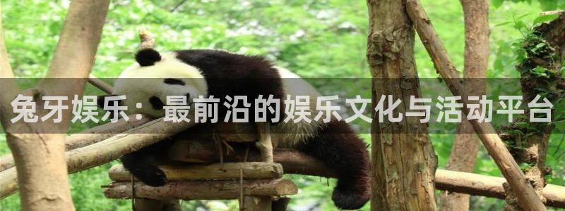 星辉平台平台官方网站：兔牙娱乐：最前沿的娱乐文化与活动平台
