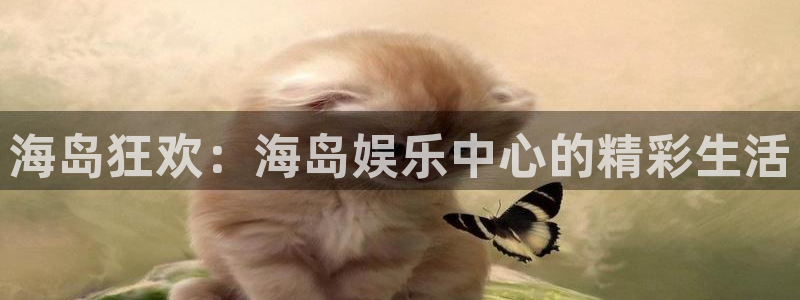 星辉平台平台开户链接：海岛狂欢：海岛娱乐中心的精彩生活