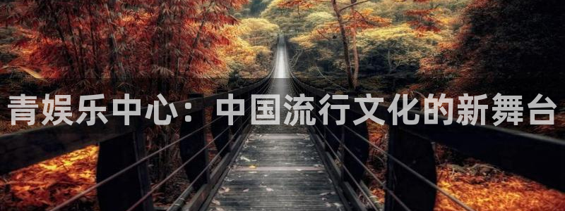 星辉平台免费注册：青娱乐中心：中国流行文化的新舞台