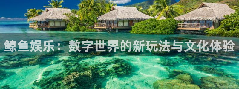 星辉平台5注册：鲸鱼娱乐：数字世界的新玩法与文化体验