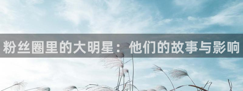 星辉平台电子游戏网页版：粉丝圈里的大明星：他们的故事与影响
