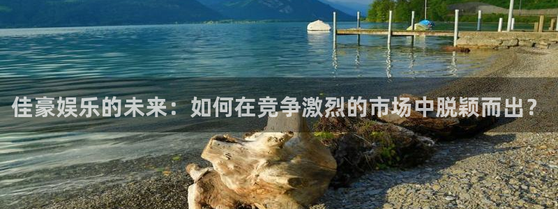 星辉平台加拿大官网：佳豪娱乐的未来：如何在竞争激烈的市场中脱颖而出？