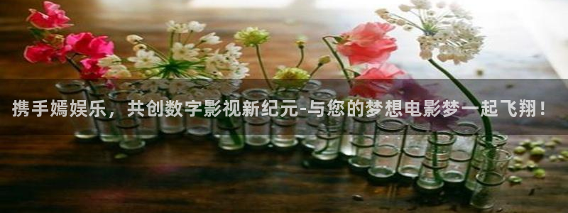 星辉平台可靠吗：携手嫣娱乐，共创数字影视新纪元-与您的梦想电影梦一起飞翔！