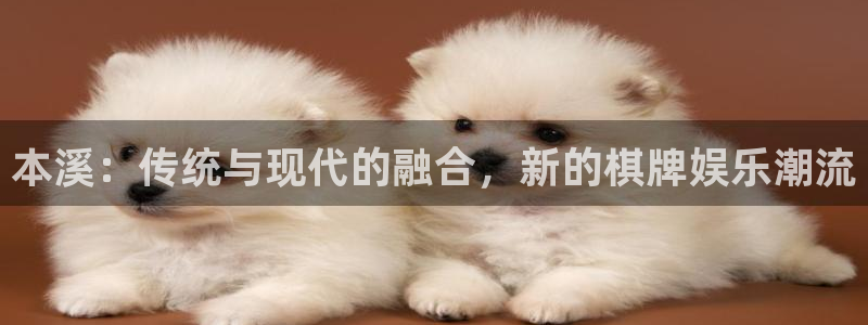 星辉平台注册：本溪：传统与现代的融合，新的棋牌娱乐潮流