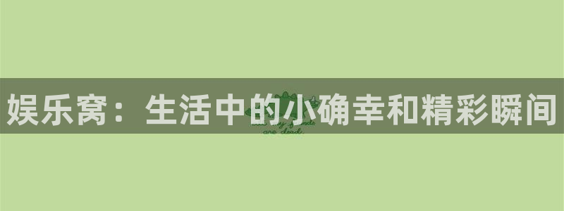 星辉平台哪个游戏好爆：娱乐窝：生活中的小确幸和精彩瞬间