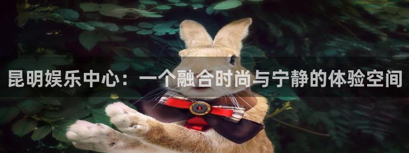 星辉平台平台开户：昆明娱乐中心：一个融合时尚与宁静的体验空间