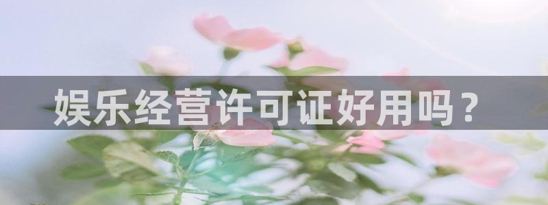星辉平台平台：娱乐经营许可证好用吗？