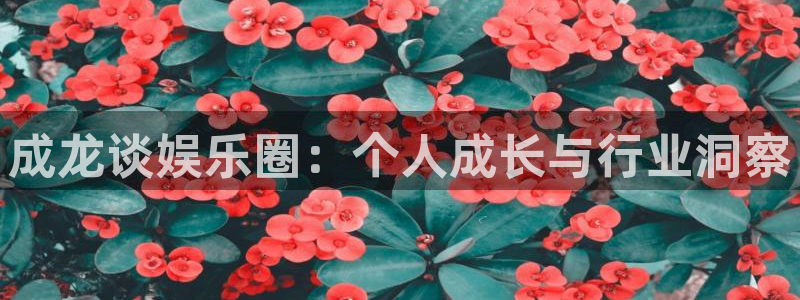 星辉平台vk：成龙谈娱乐圈：个人成长与行业洞察