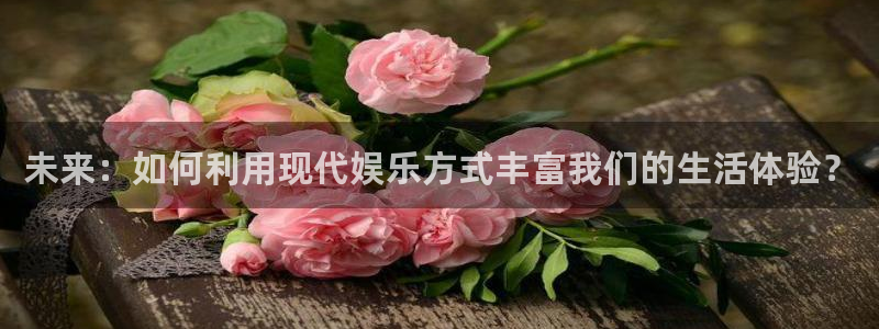 星辉平台电子有限公司：未来：如何利用现代娱乐方式丰富我们的生活体验？