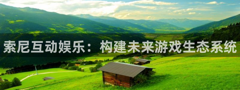星辉平台体育4：索尼互动娱乐：构建未来游戏生态系统